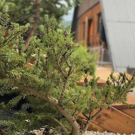 Сasa de vacaciones Baza Beskid, - Gorąca Bania, Basen, Ogród, Góry Bielsko-Biała