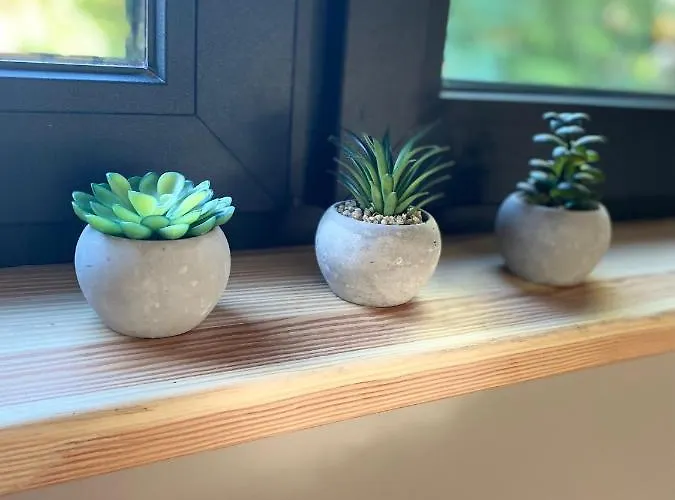 Prázdninový dům Baza Beskid, - Goraca Bania, Basen, Ogrod, Gory Bílsko-Bělá